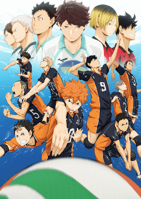 HAIKYU!! cover art